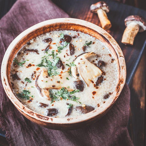 Maitake Mushroom Powder