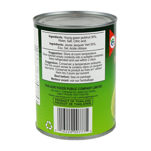 Jackfruit Young Green Tinned