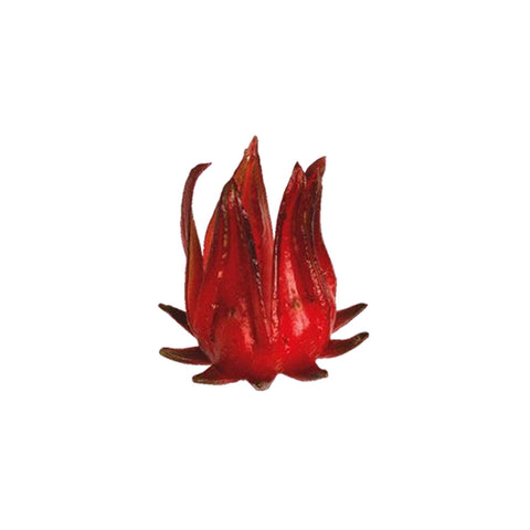 Hibiscus Flowers Whole in Syrup