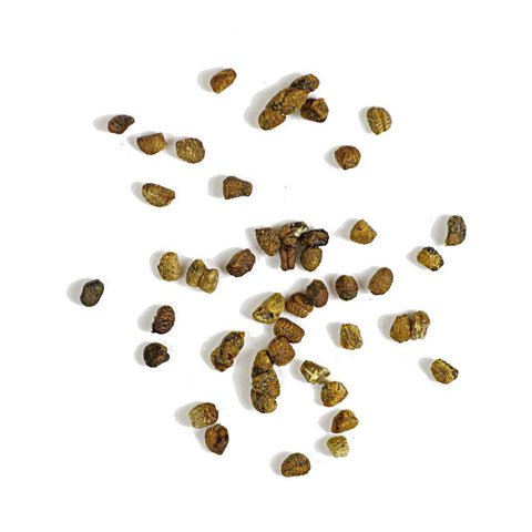 Cardamom Seed