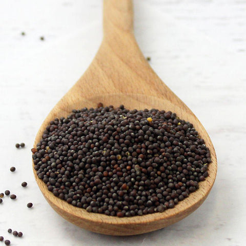Mustard Seed Brown Whole