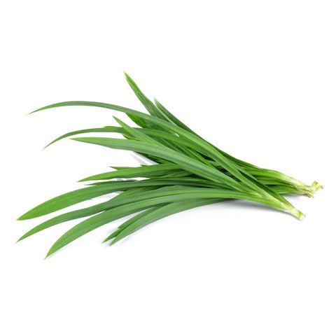 Pandan Leaves Frozen