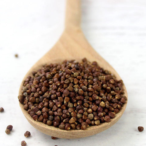 Pepper Paradise Seed