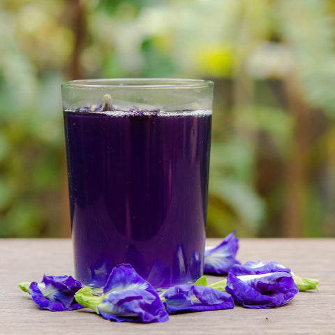 ButterFly Pea Flower