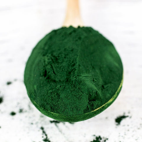 Spirulina Powder