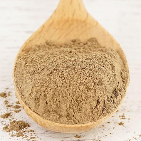 Reishi Mushroom Powder