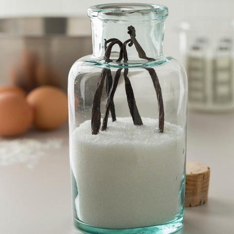 Vanilla Bean 2ct Display Tray