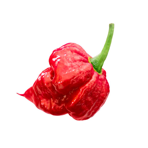 Red Trinidad Scorpion Pepper Whole