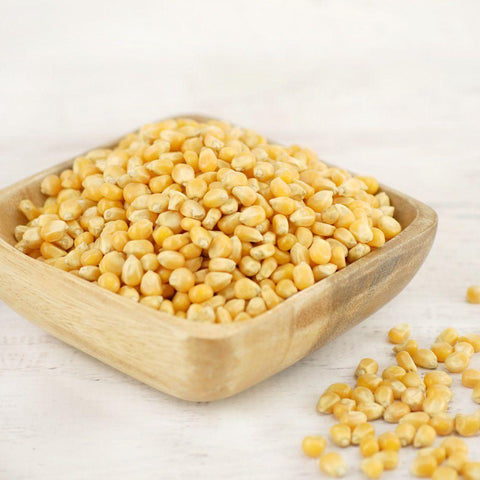 Popcorn Kernels (Mushroom)