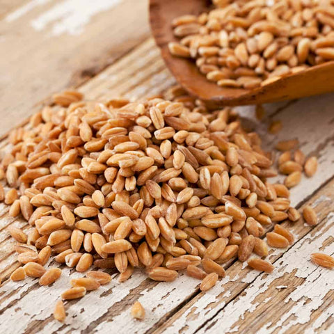 Farro Grain Whole