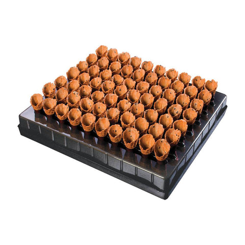 Mini Cones Soya Sauce 2.5cm