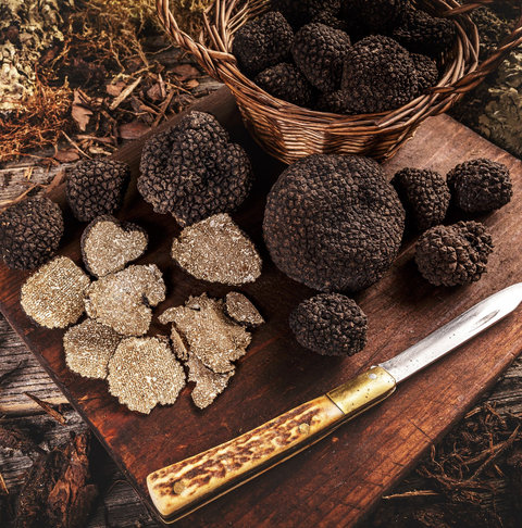 Truffles, Mushrooms & Meats