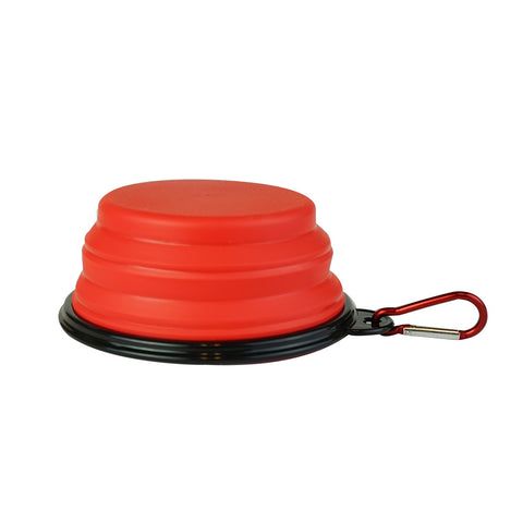 Collapsible Bowl